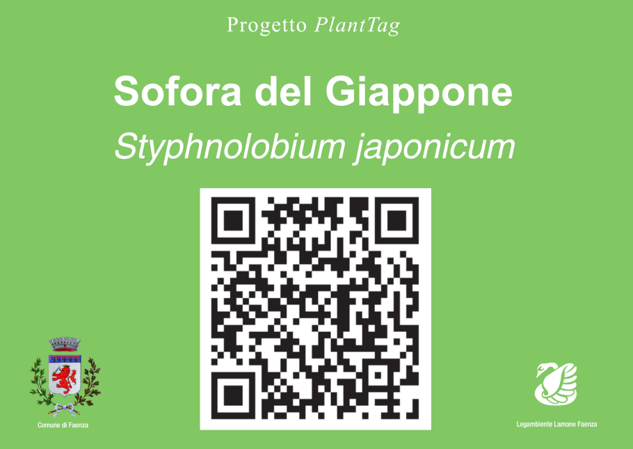 cartellino1